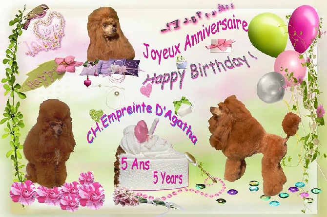 des seigneurs de Posquiere - JOYEUX ANNIVERSAIRE !!!!!